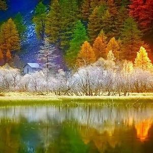 Meet your Posher, Stoney